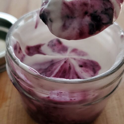 instant pot dairy-free coconut yogurt