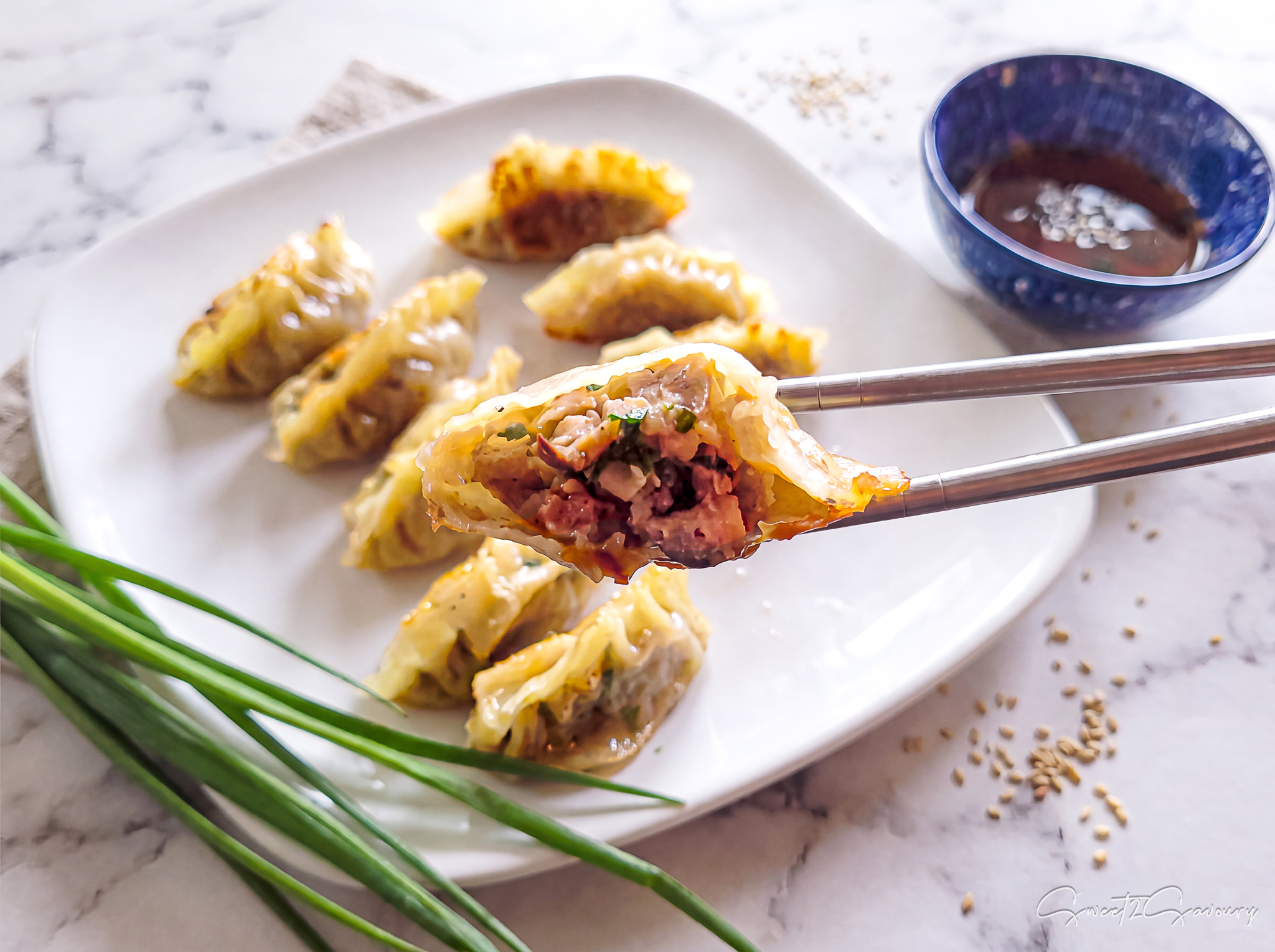 Crispy Pan-Fried Pork Dumplings (Easy Potstickers!)