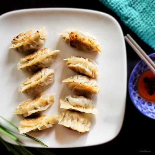 pork dumplings