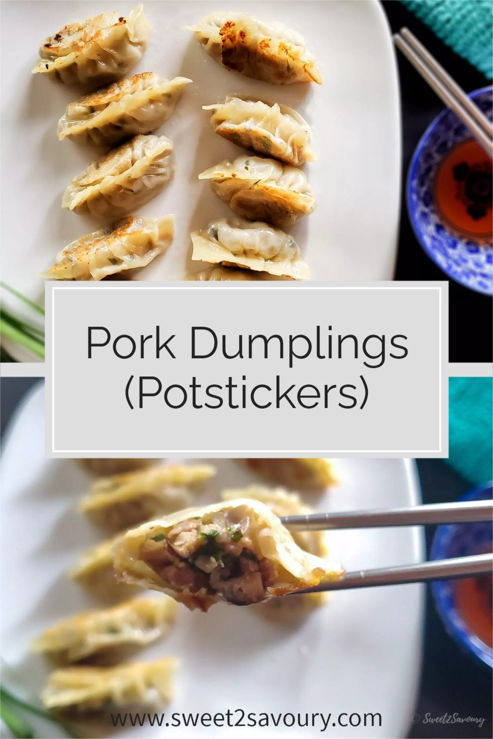 Pork Dumplings (Potstickers) | Sweet2Savoury
